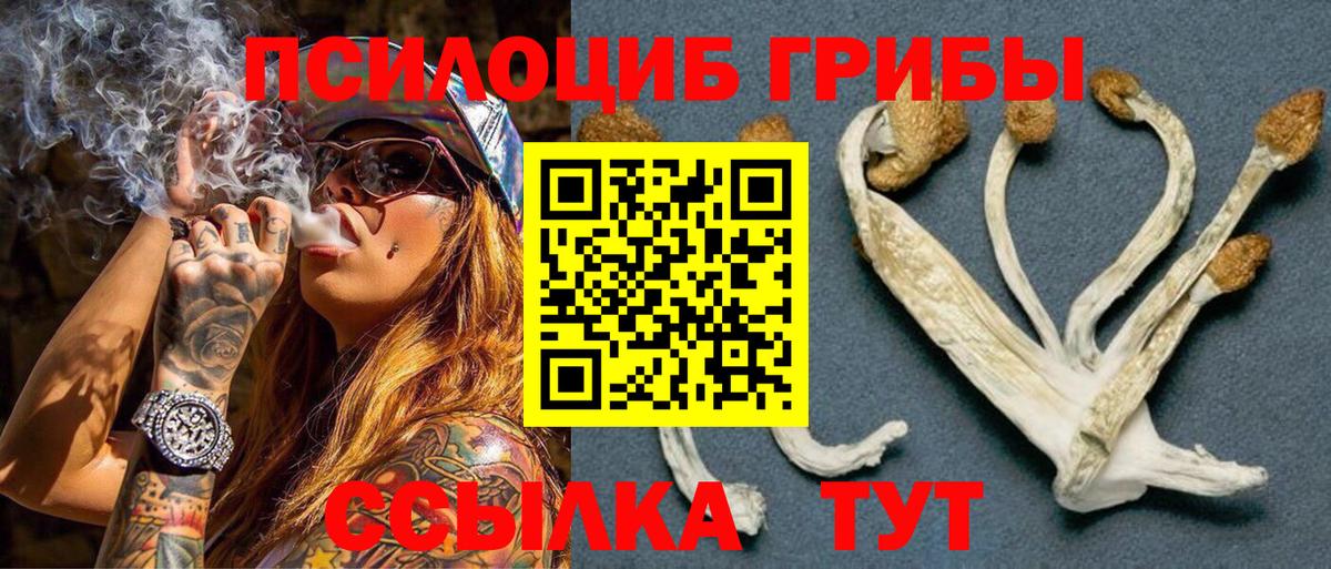 Псилоцибиновые грибы MAGIC MUSHROOMS Ступино