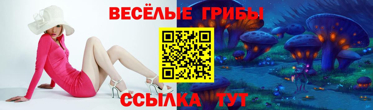 Псилоцибиновые грибы Psilocybe  Вход с VPN  Ступино  Галлюциногенные грибы Cubensis 